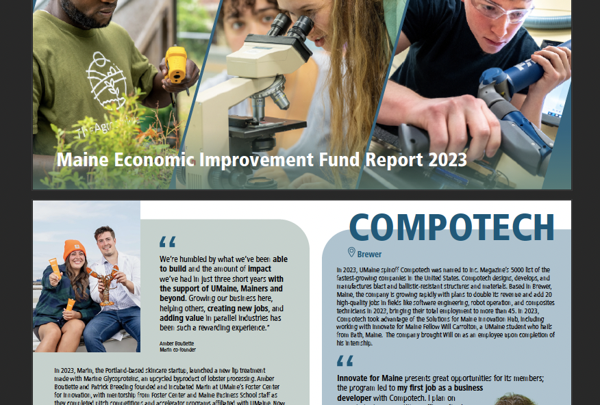 Thumbnail cover image MEIF FY23 report