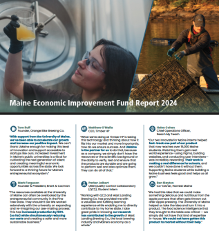 Thumbnail cover image MEIF FY24 report