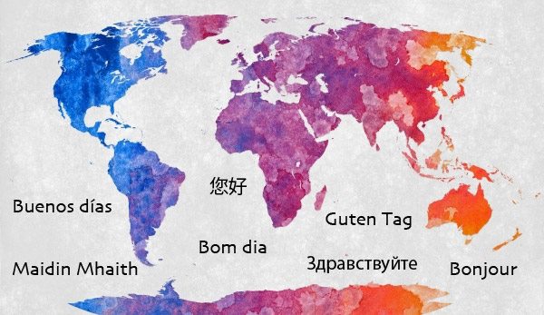 Welcome to the Department of Modern Languages and Classics