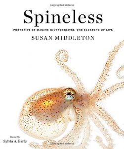 "Spineless" Sylvia Earle