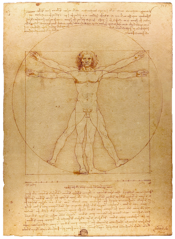 Leonardo's Vitruvian Man