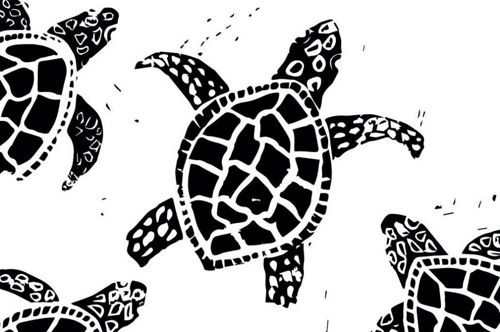 graphic image of turtles