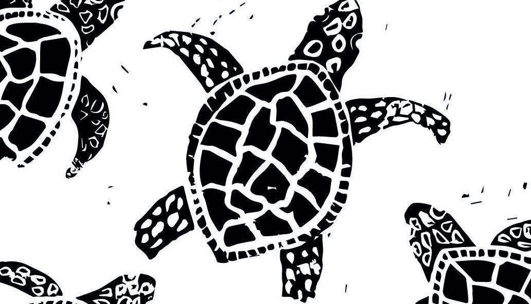 graphic image of turtles