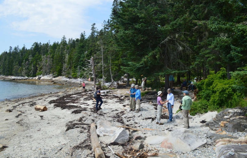 A group of people standing on beach