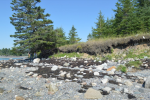 Erosion at a shell midden
