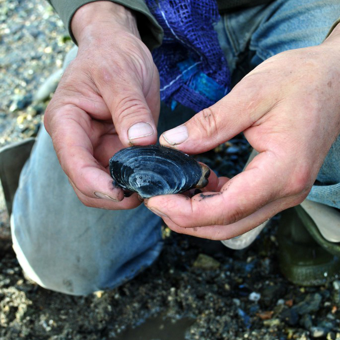 Student holding clam