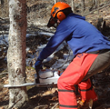 forester with chainsaw