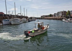 Lobster boat in Eastport harbor