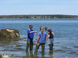 Coastal water quality monitoring