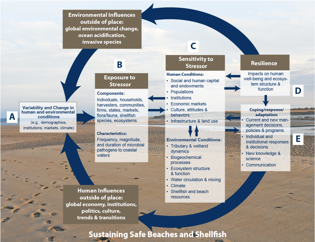 NEST conceptual model