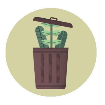 Graphic of plant coming out of trash can