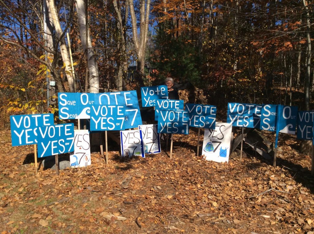 Image of a group of yard signs supporting plastic bag ban in York