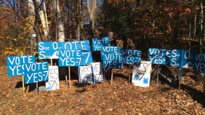 Image of a group of yard signs supporting plastic bag ban in York