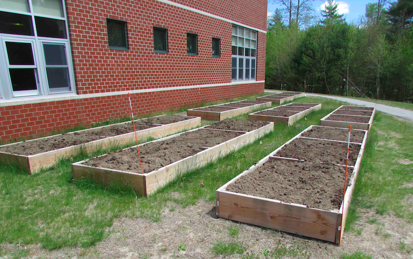 Massabesic Middle School garden