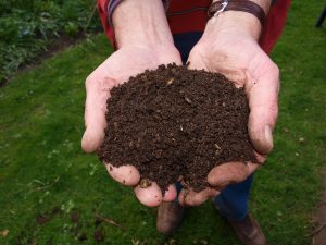 Image of man's cupped hands holding finished compost