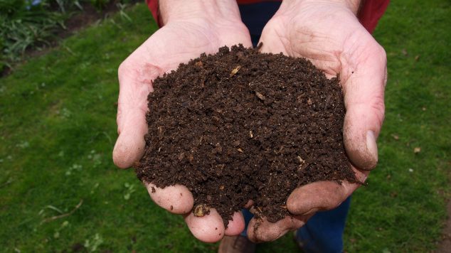 Image of man's cupped hands holding finished compost