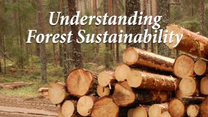 Understanding forest sustainability