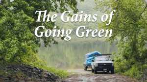 The gains of going green