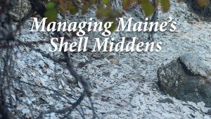 Managing Maine's Shell Middens