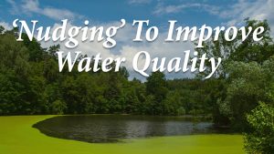 Nudging to improve water quality
