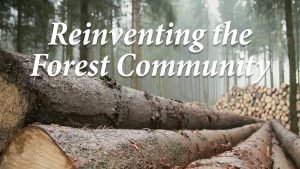 Reinventing the Forest Community
