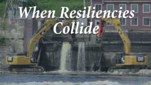 When resiliences collide