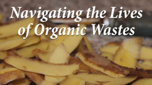 Navigating the Lives of Organic Wastes