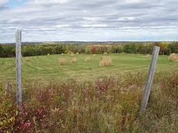 Pastures, Aroostook County, Maine