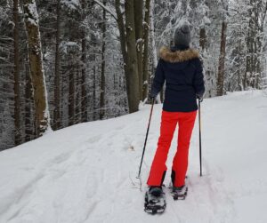 skiier with red pants