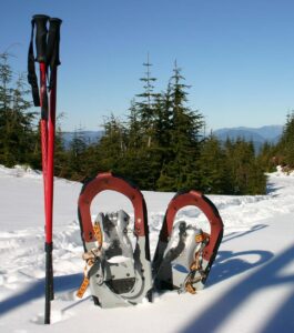 snowshoes and pole in snow