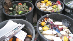 Household food waste