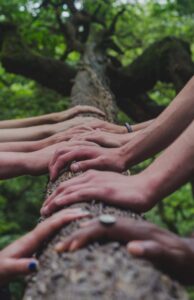 many hands on tree trunk
