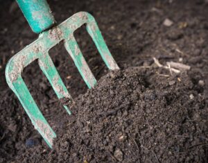 Garden fork turning black composted soil in compost bin ready for gardening, close up.