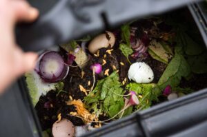 Food waste in bin