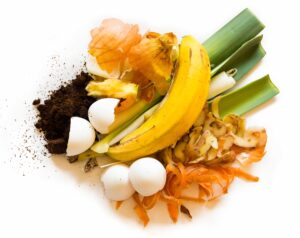 Food waste items on white background