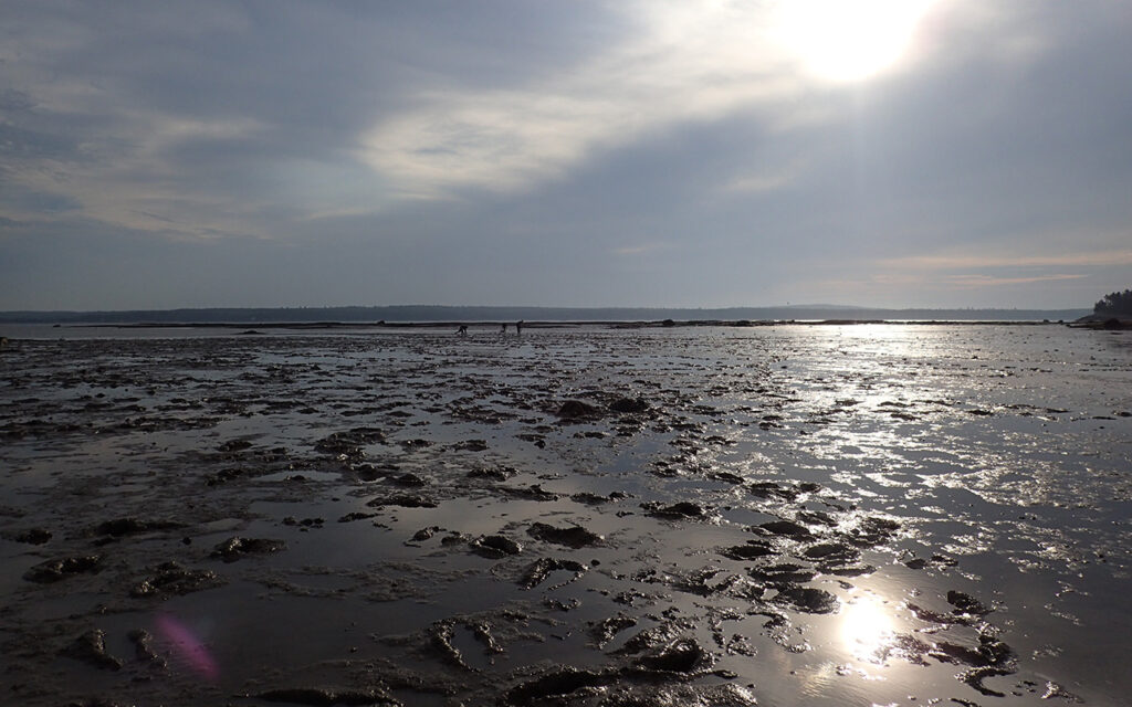 Looking out on mudflat with figures in the distance and sun and clouds reflecting