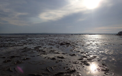 Looking out on mudflat with figures in the distance and sun and clouds reflecting