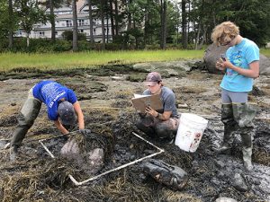 High school students collect data in the Damariscotta River estuary