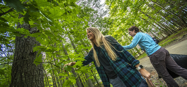 Forestry graduate students examining trees