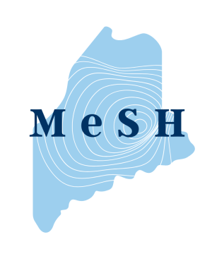 MeSH Logo