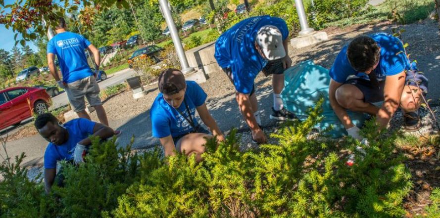 Students work to clean up campus on UMaine's Day of Service