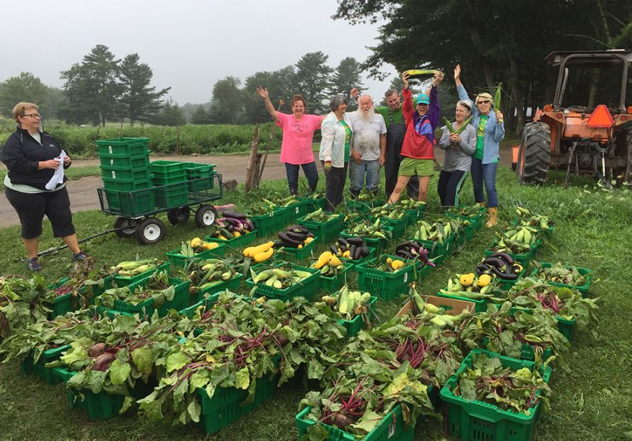 Harvest for Hunger volunteers gathering food