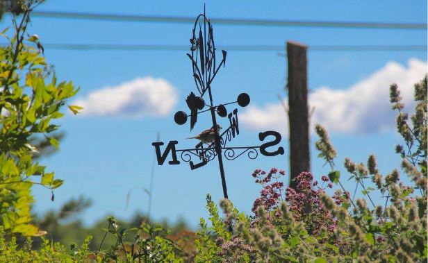 Terrell House Weather Vane