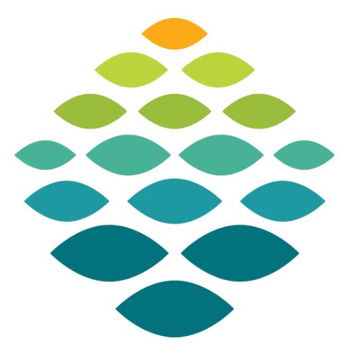 Northern Light Health Logo