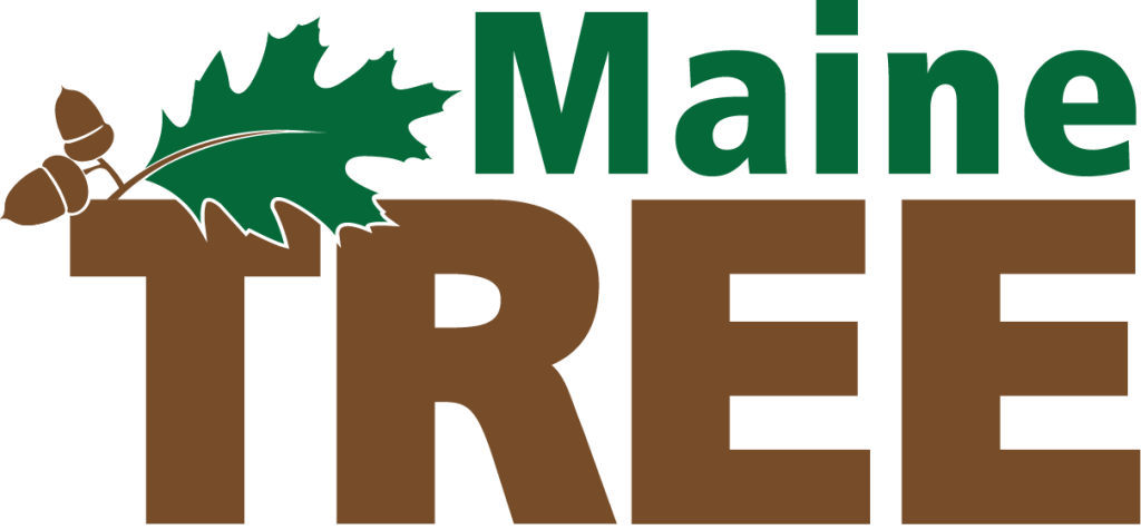 Maine TREE Logo