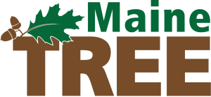Maine TREE Logo