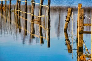 Fence in flooded field