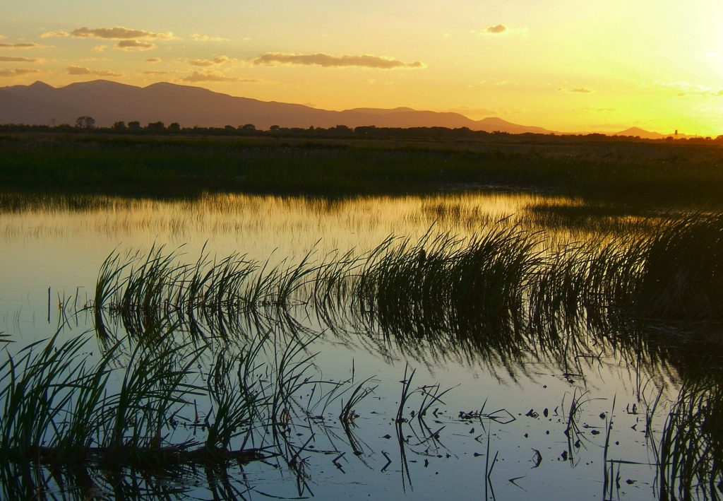 Marsh at sunset