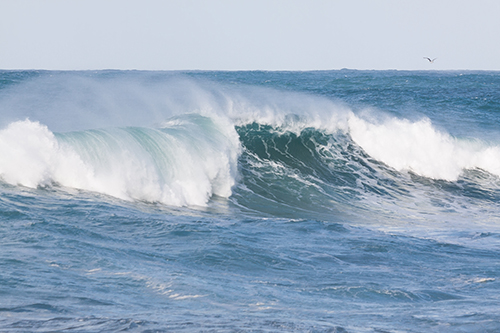 Ocean waves crashing