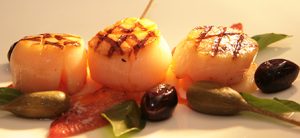 Grilled scallops on plate